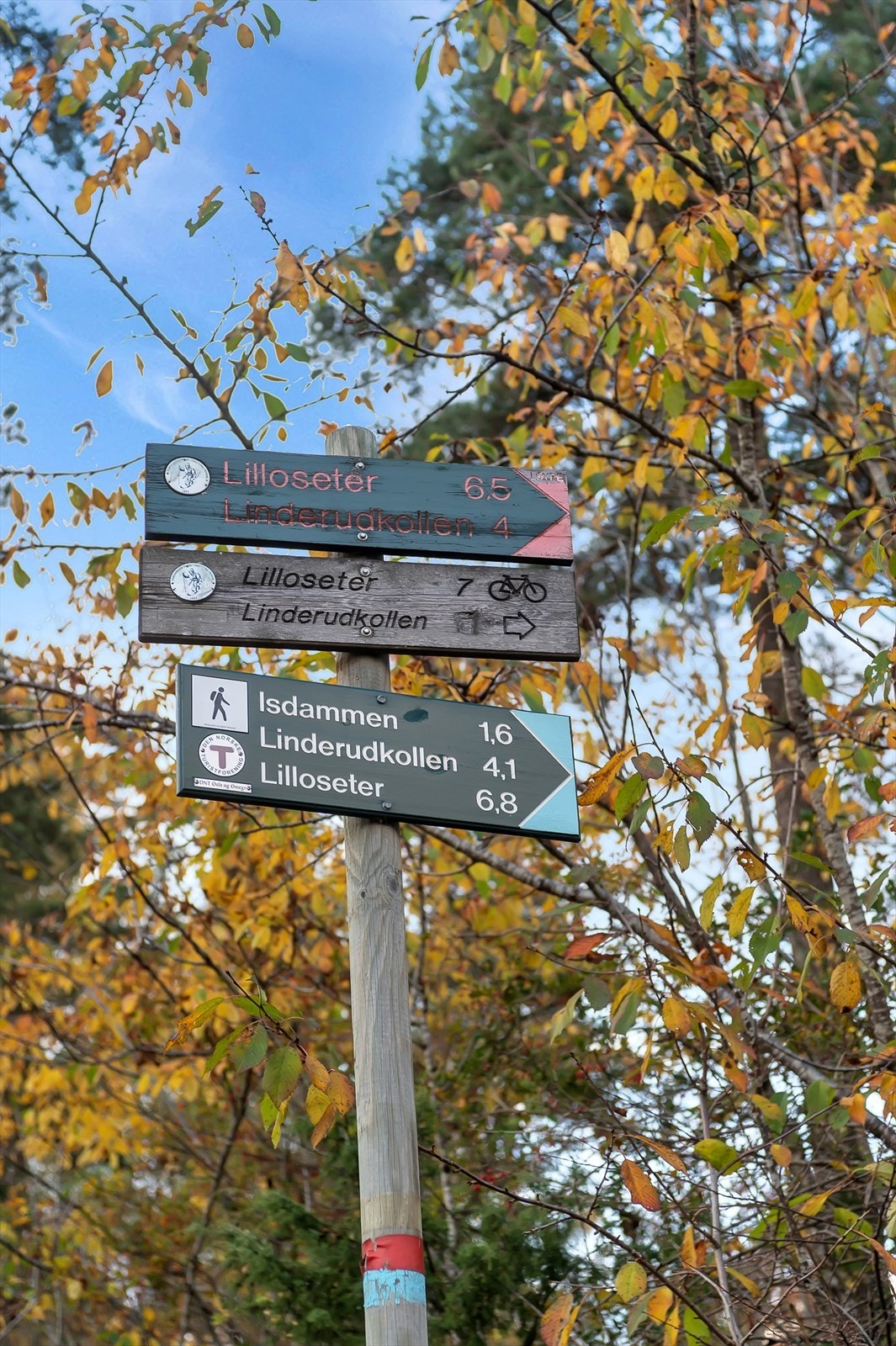 Turstiene er godt merket og leder deg inn i marka til populære turmål som Linderudkollen og Lilloseter. Galleribilde