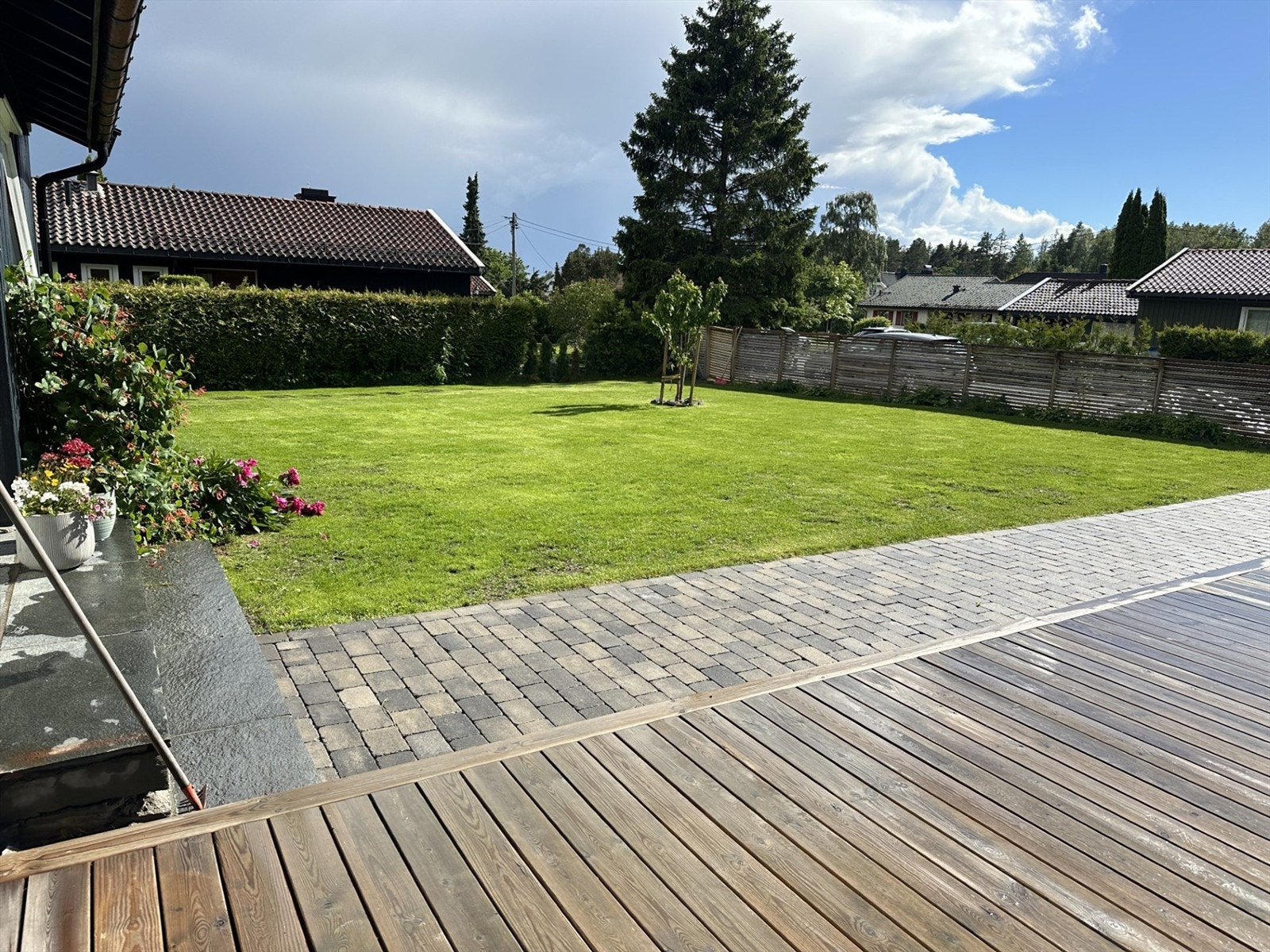 Selgers private sommerbilde Galleribilde