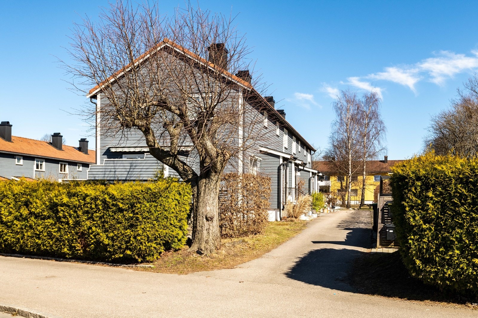 Fasade fra gate Galleribilde