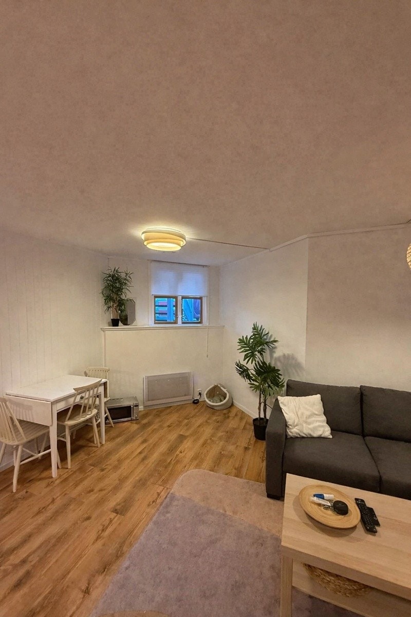 Oppholdsrom med spiseplass og sovesofa med oppbevaring Galleribilde