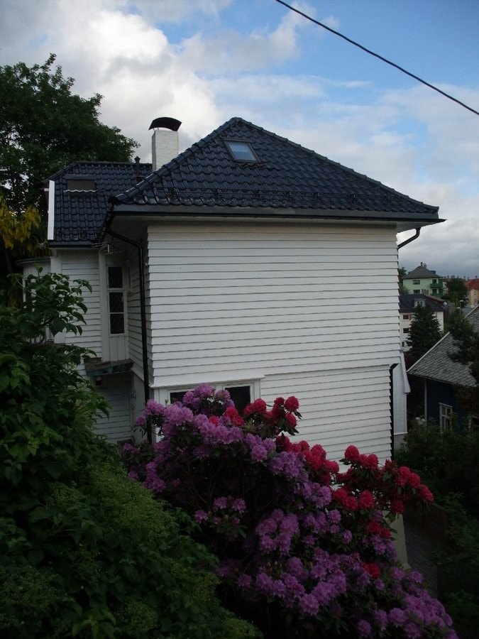 utv2 Galleribilde