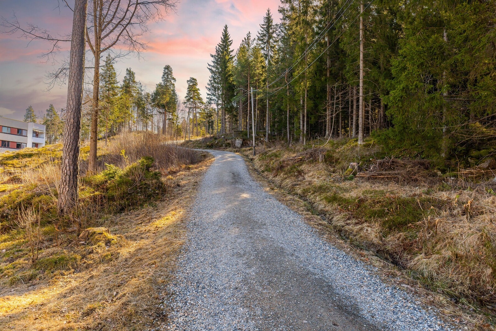 Tursti som nærmeste nabo. Galleribilde
