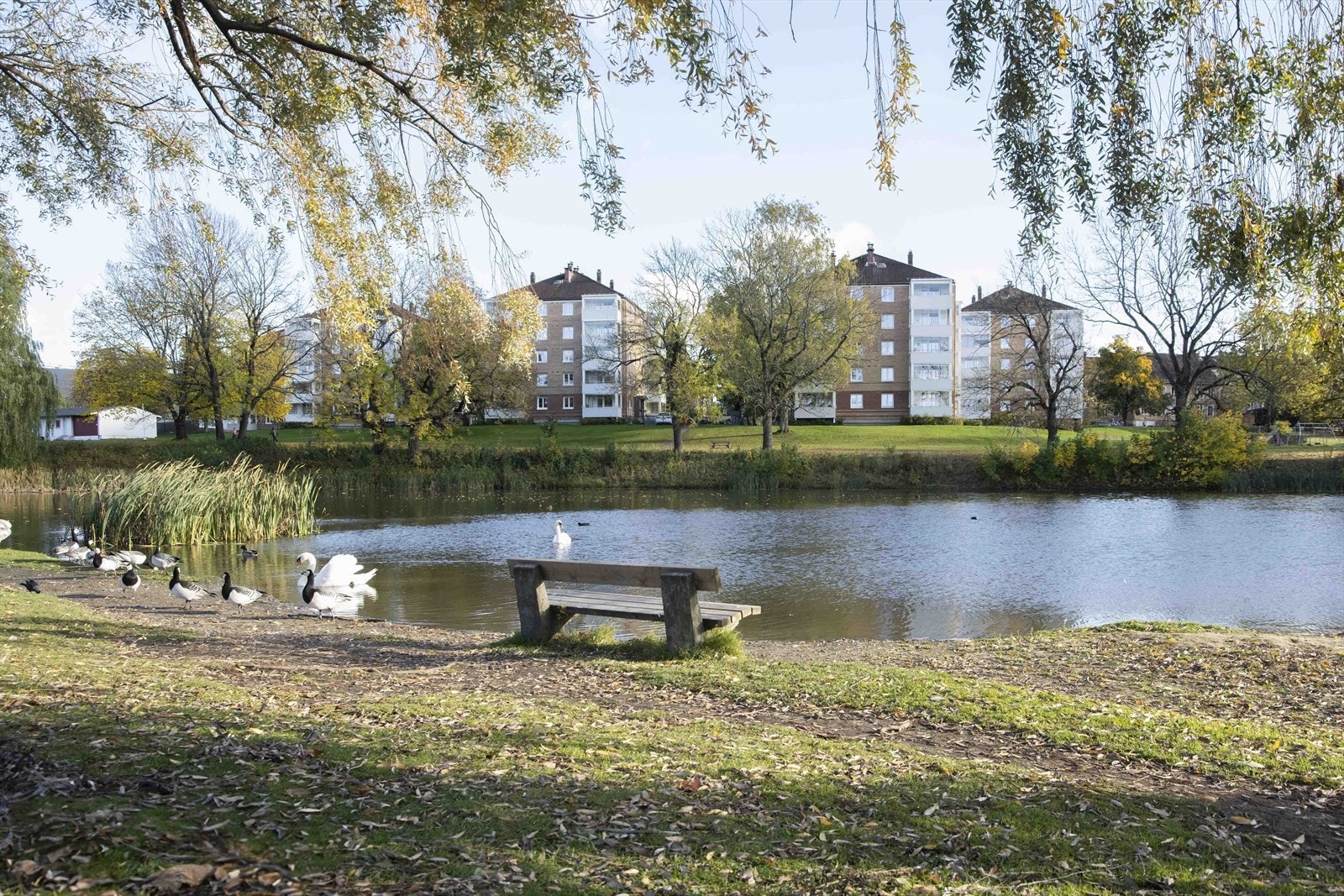 Hovindammen er et flott rekreasjonsområde med turstier, kun 12 minutters gange unna. Galleribilde