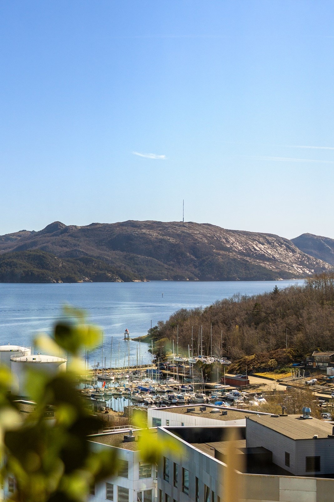 Her kan man senke roen og nyte fjord, fjell og det maritime livet utenfor. Galleribilde