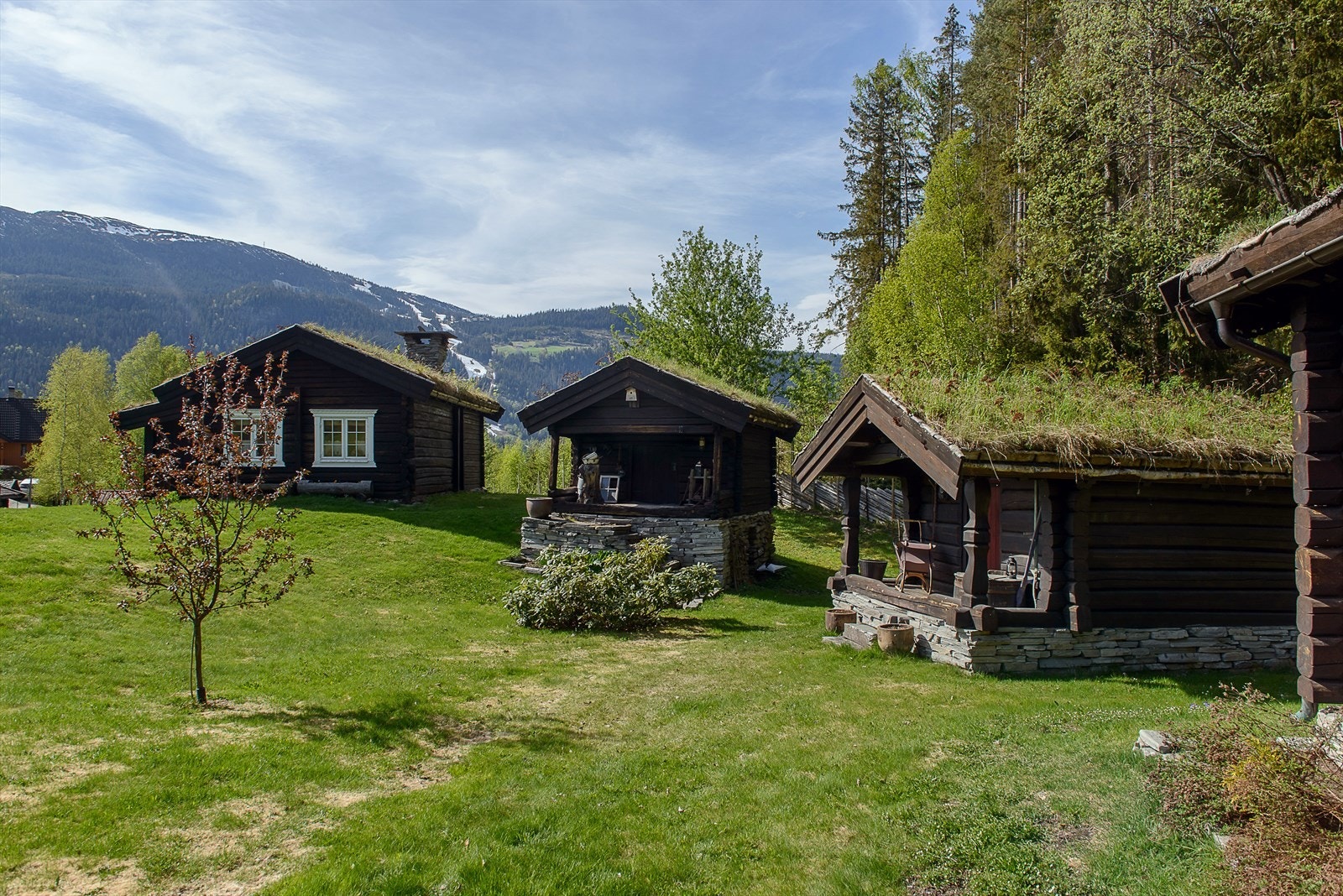 Eiendommen består av totalt 10 bygninger - blant annet den gamle husmannsplassen (til venstre), stabbur ( i midten) og eldhuset (til høyre). Galleribilde