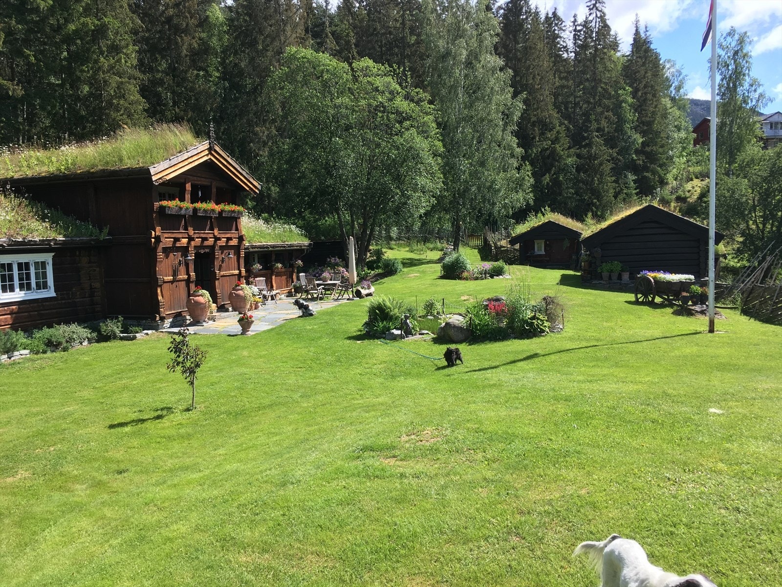 Fantastisk flott opparbeidet tun Galleribilde