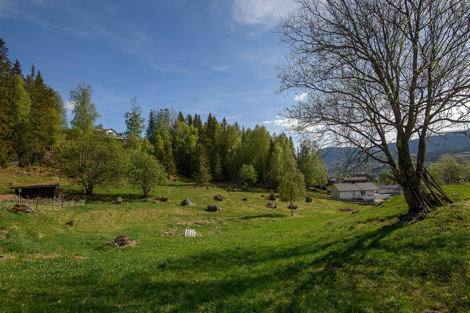 På nedsiden av boligen er det dels naturtomt med beitemark. Her er det også to oppmalte og regulerte boligtomter som kan selges - om ønskelig. Galleribilde