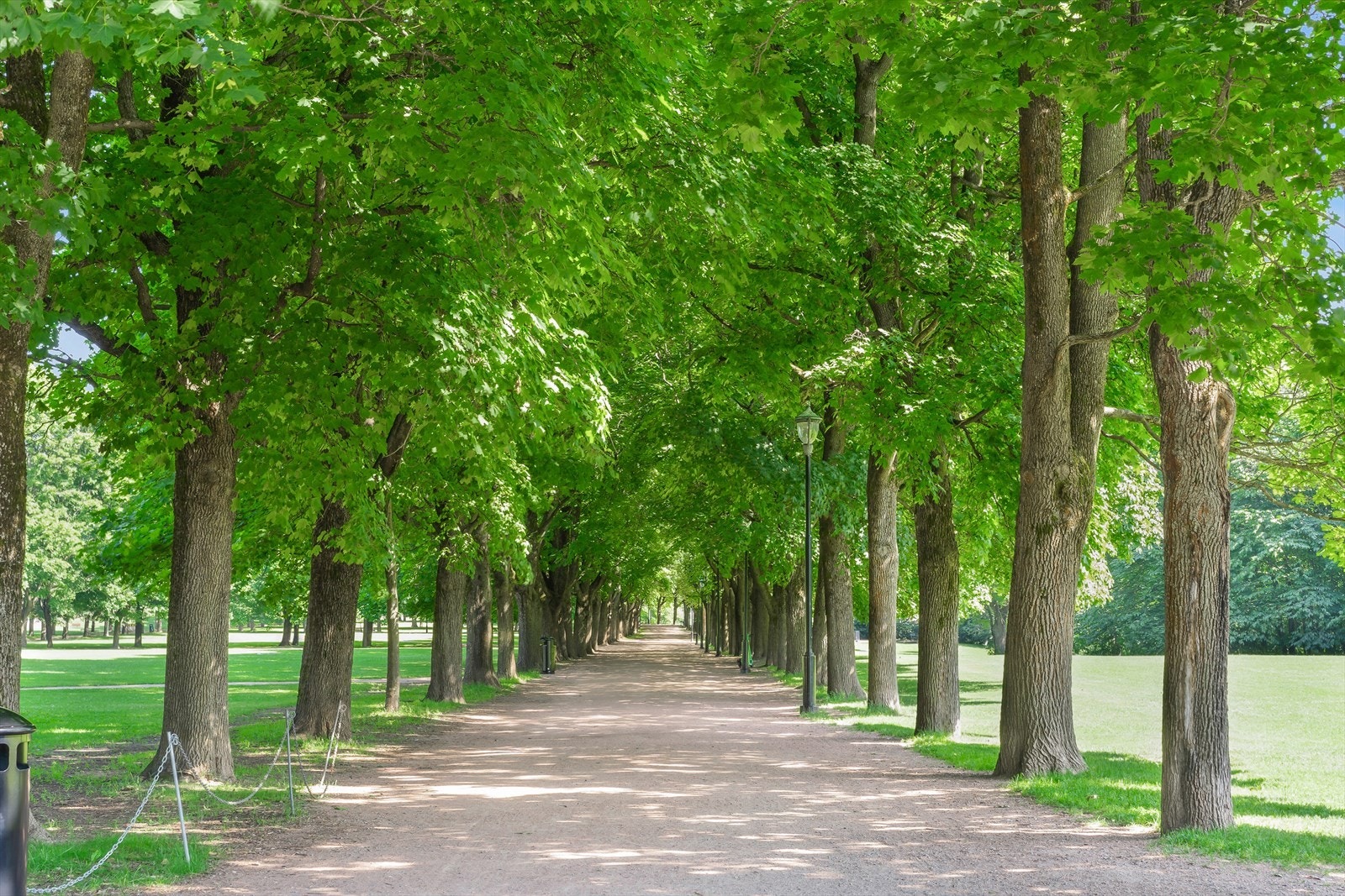 Nyt grønne omgivelser i Frognerparken og Vigelandsparken Galleribilde