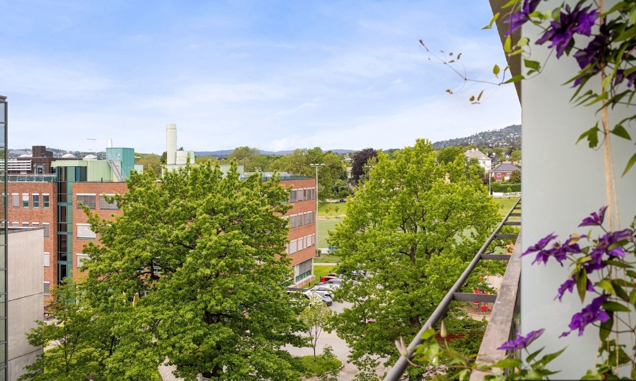 Utsikt fra balkong Galleribilde