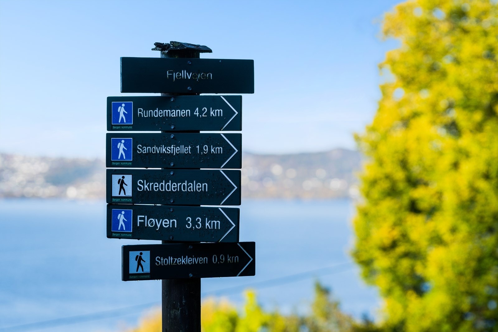Med nærhet til Stoltzekleiven, Fløyen og Sandviksfjellet er turmulighetene mange og varierte. Galleribilde
