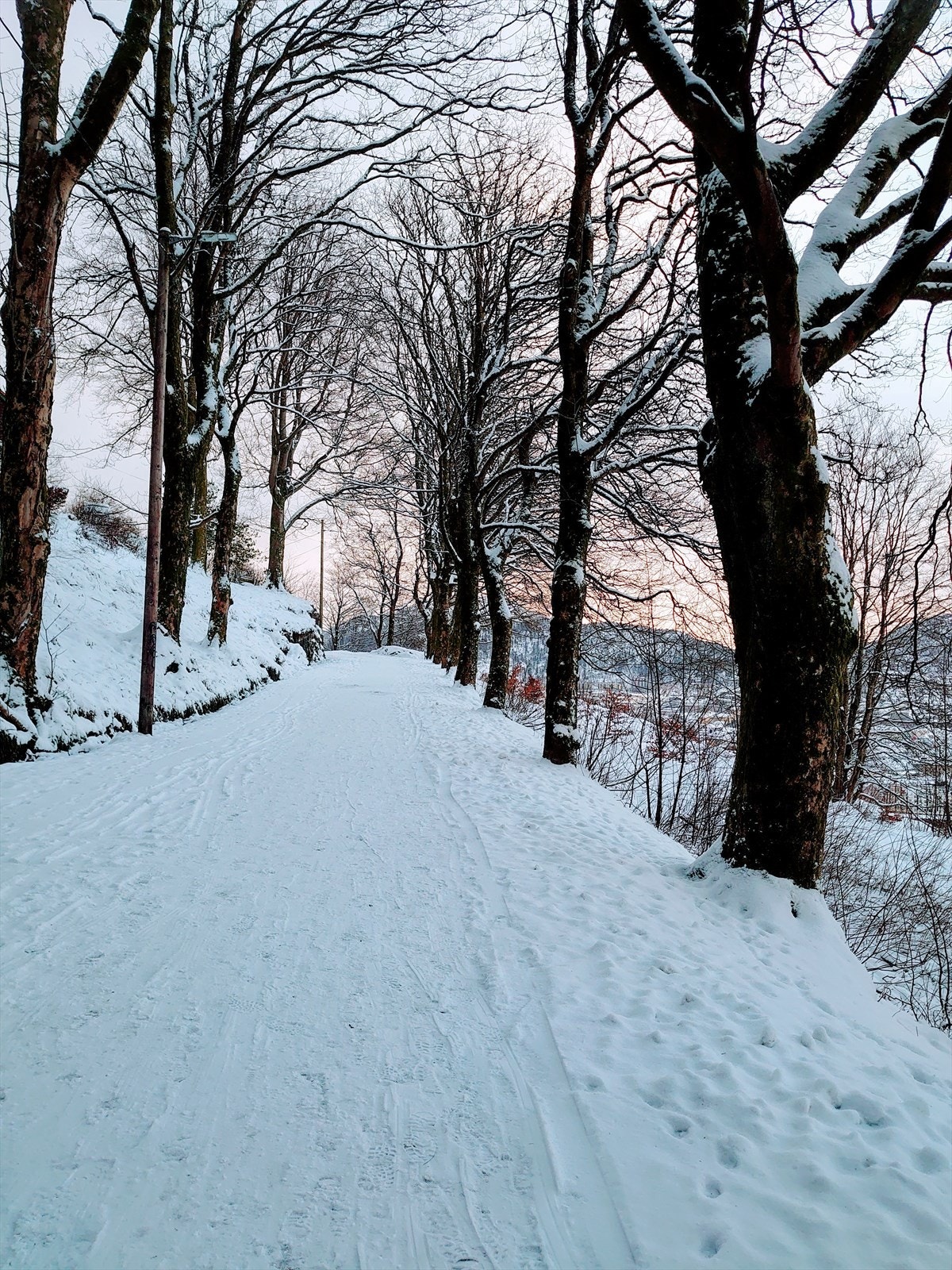 Selgers eget bilde - praktfulle fjellveien snølagt! Galleribilde