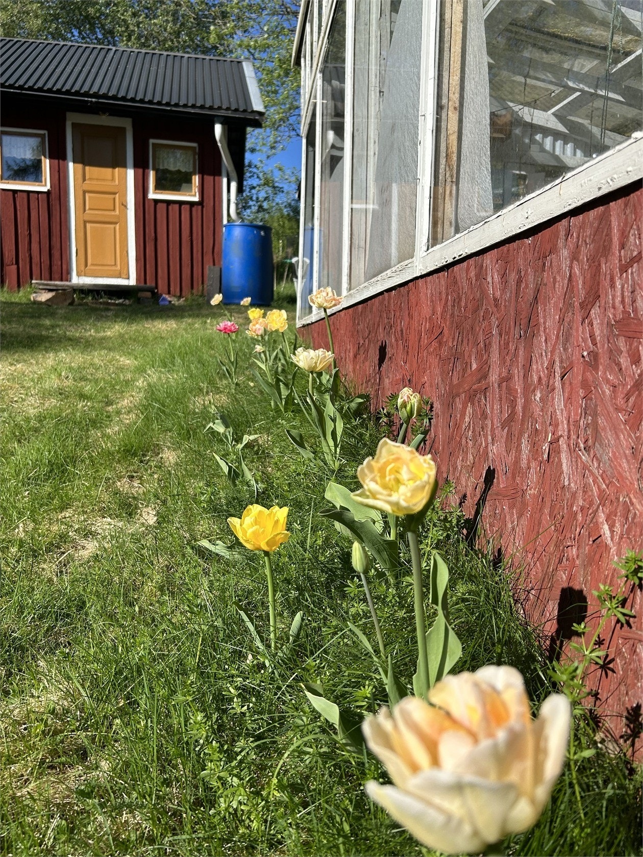 Säljarens bild Galleribilde