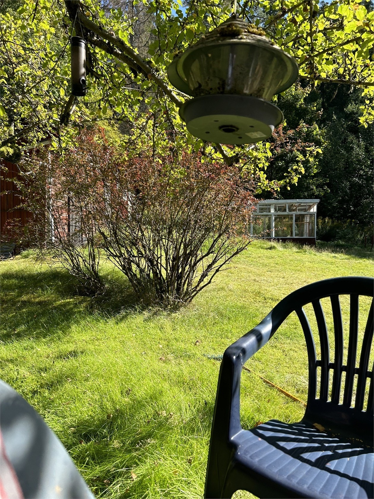 Säljarens bild Galleribilde