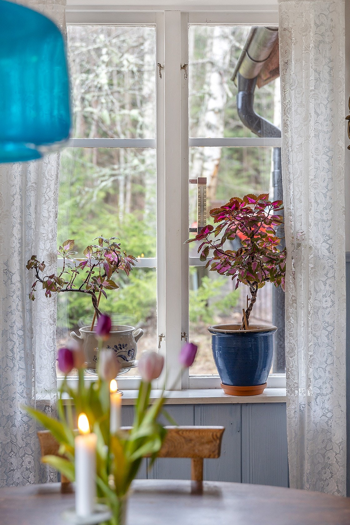 Inglasat uterum Galleribilde