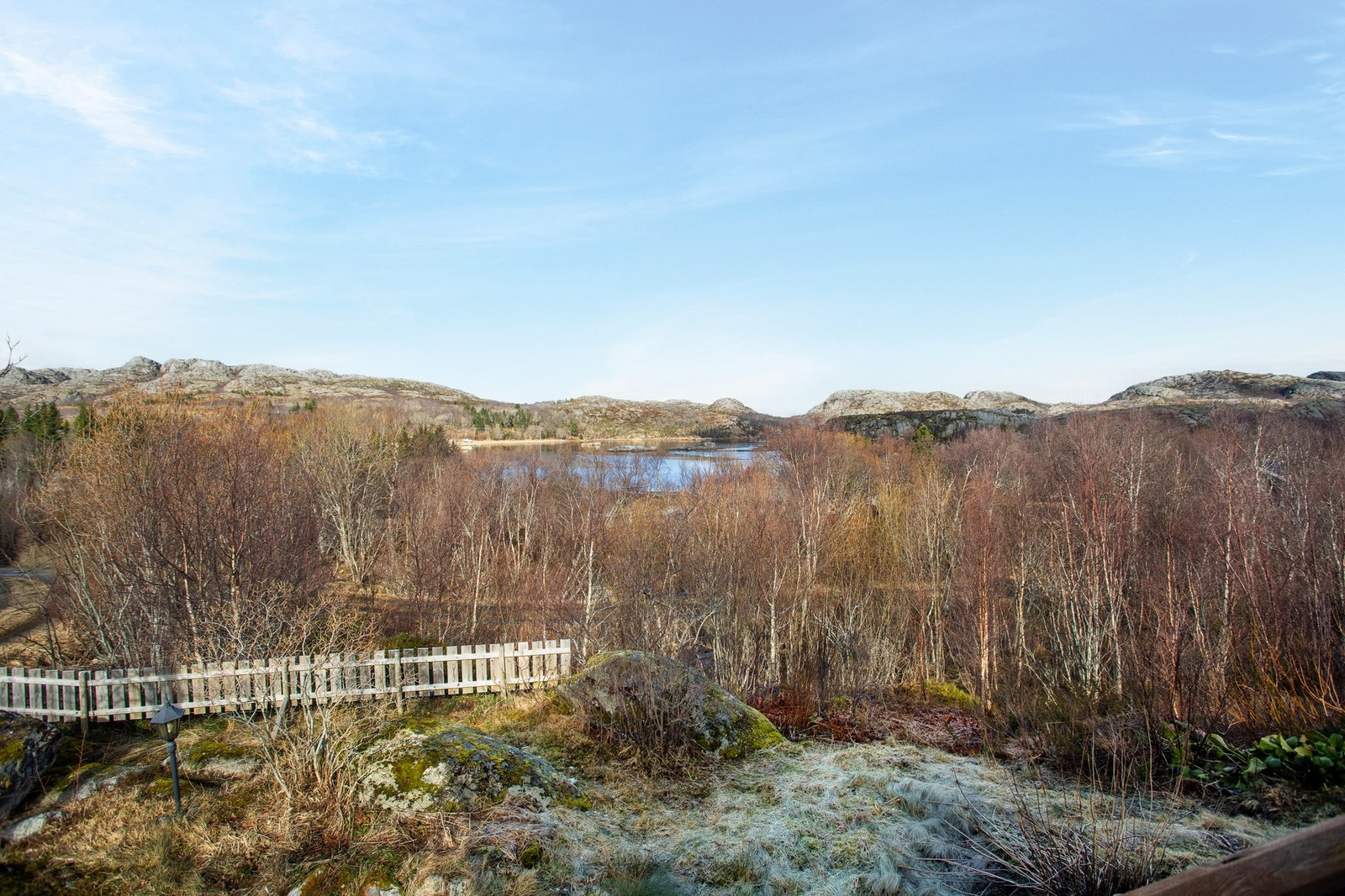 Nærområdet Galleribilde