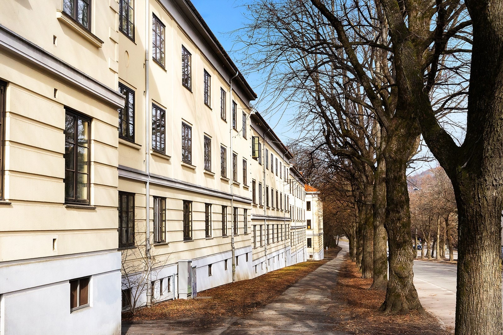 Velkommen på visning! Galleribilde
