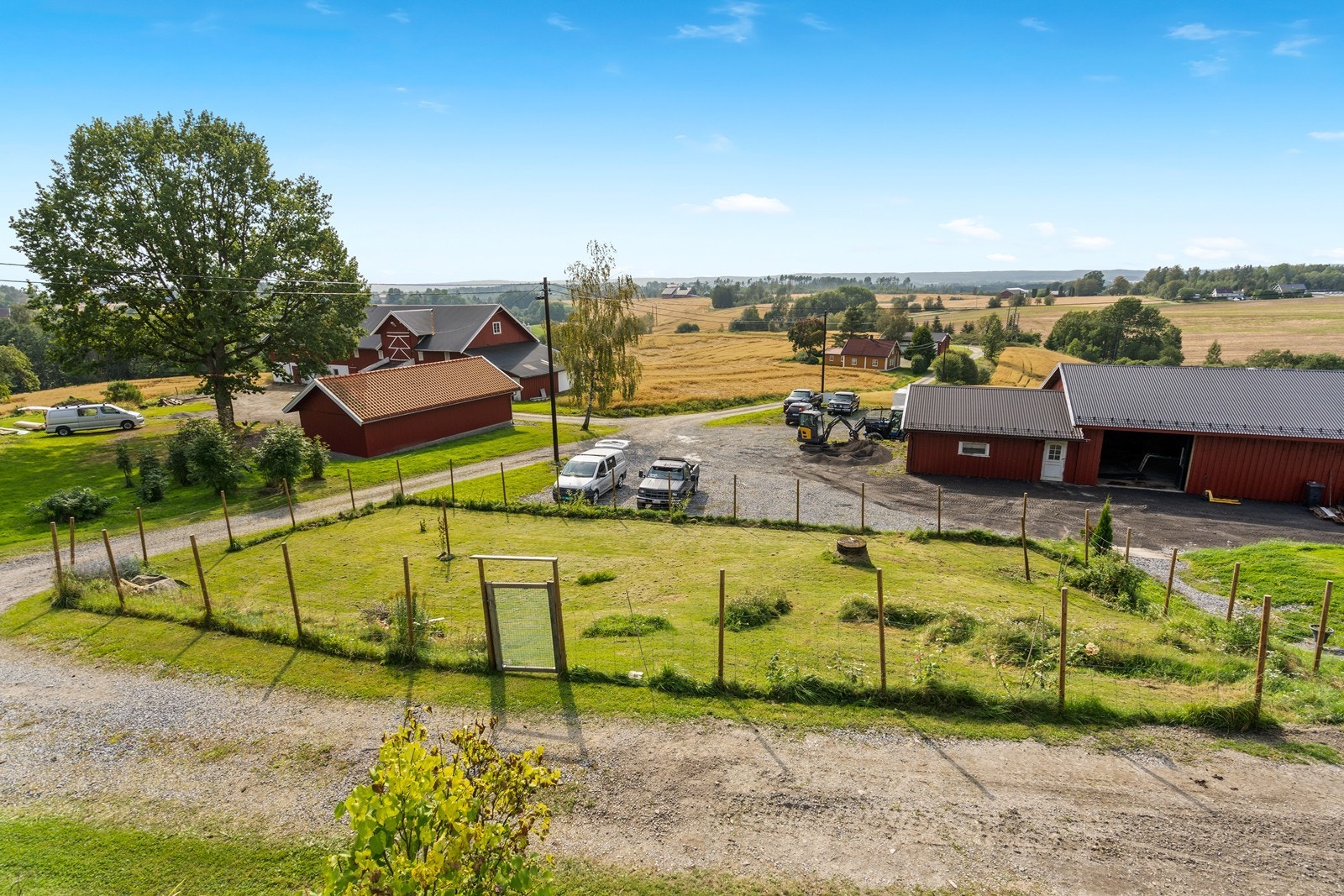 Hundegård! Galleribilde
