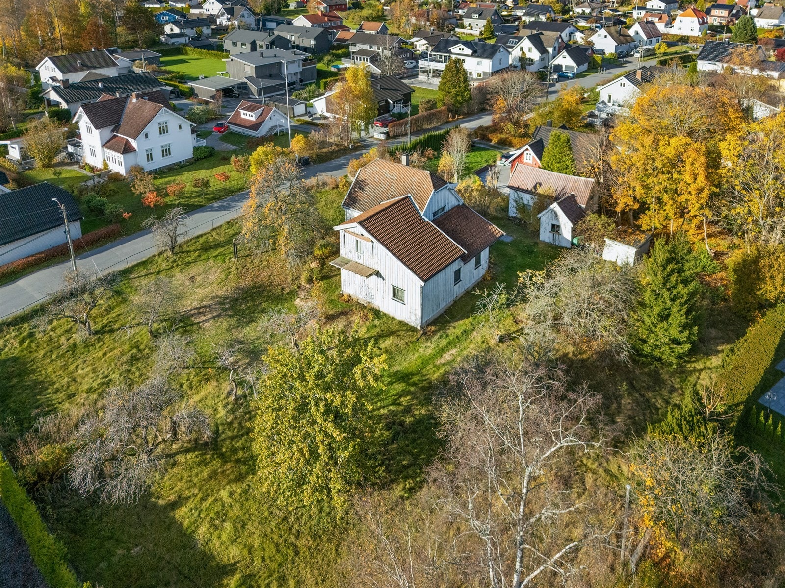 Tomten har gode lys- og solforhold. Galleribilde