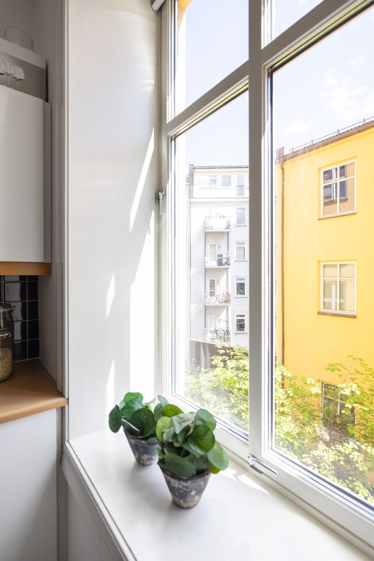 Dype vinduskarmer som rommer grønne planter og dekor. Galleribilde