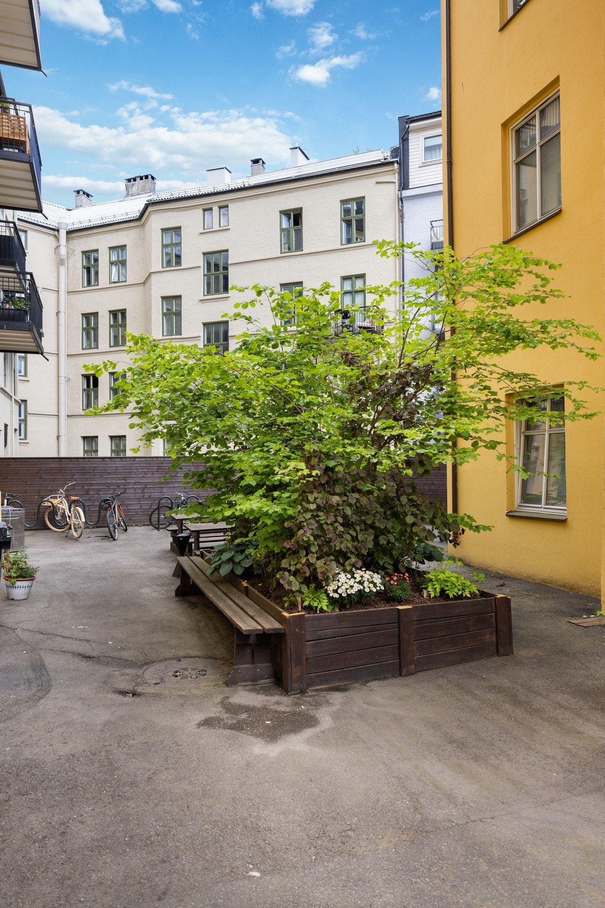 Bakgården. Galleribilde
