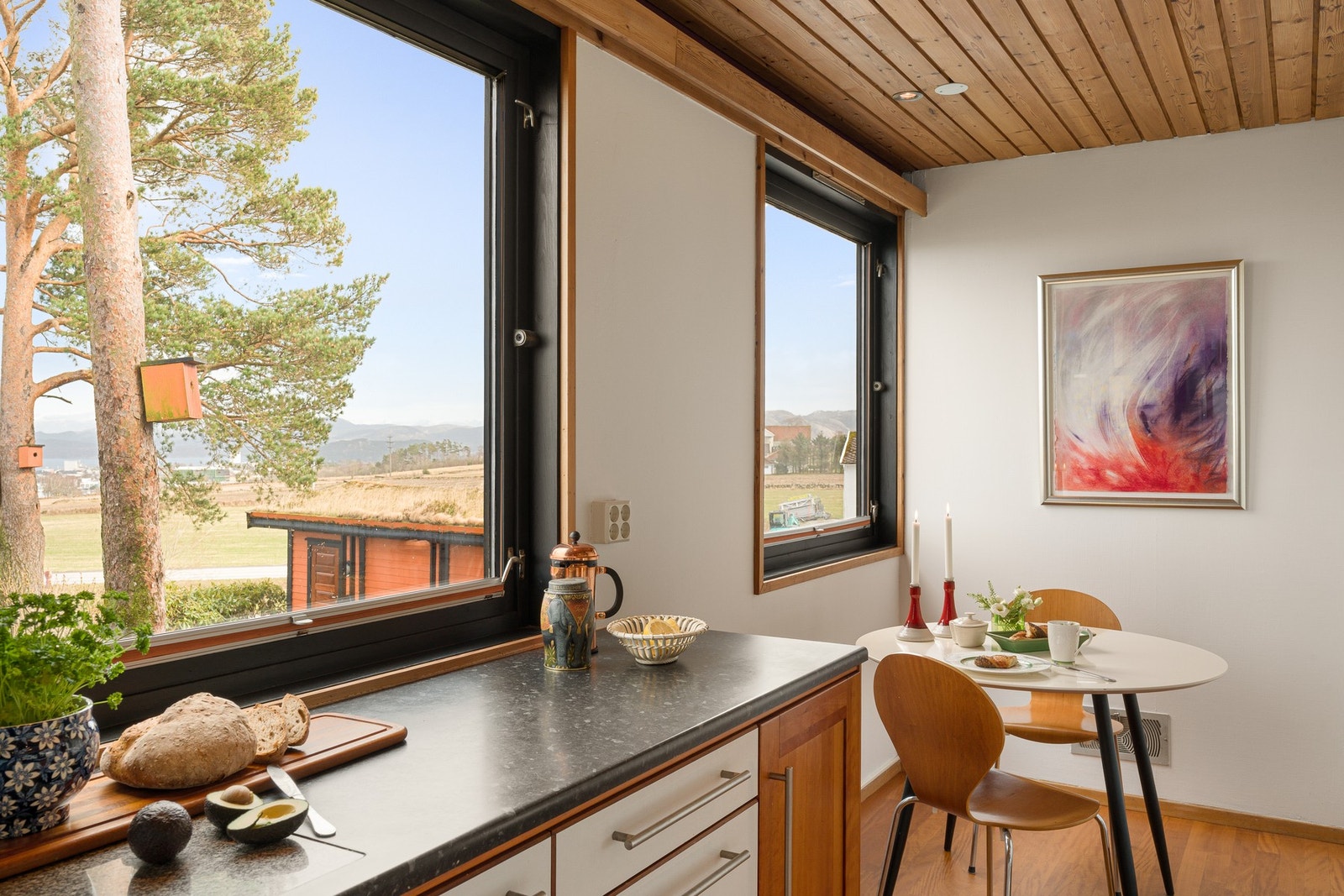 I furutrærne på utsiden er det montert flere fuglekasser, malt i samme stil som huset, som også bidrar til den vakre lyden av fuglekvitter. Galleribilde