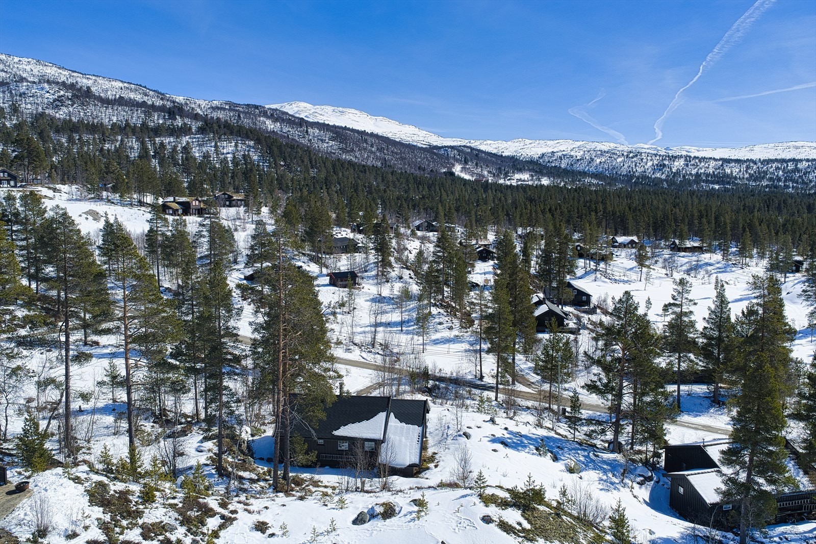 Flott turterreng både sommer og vinter! Galleribilde