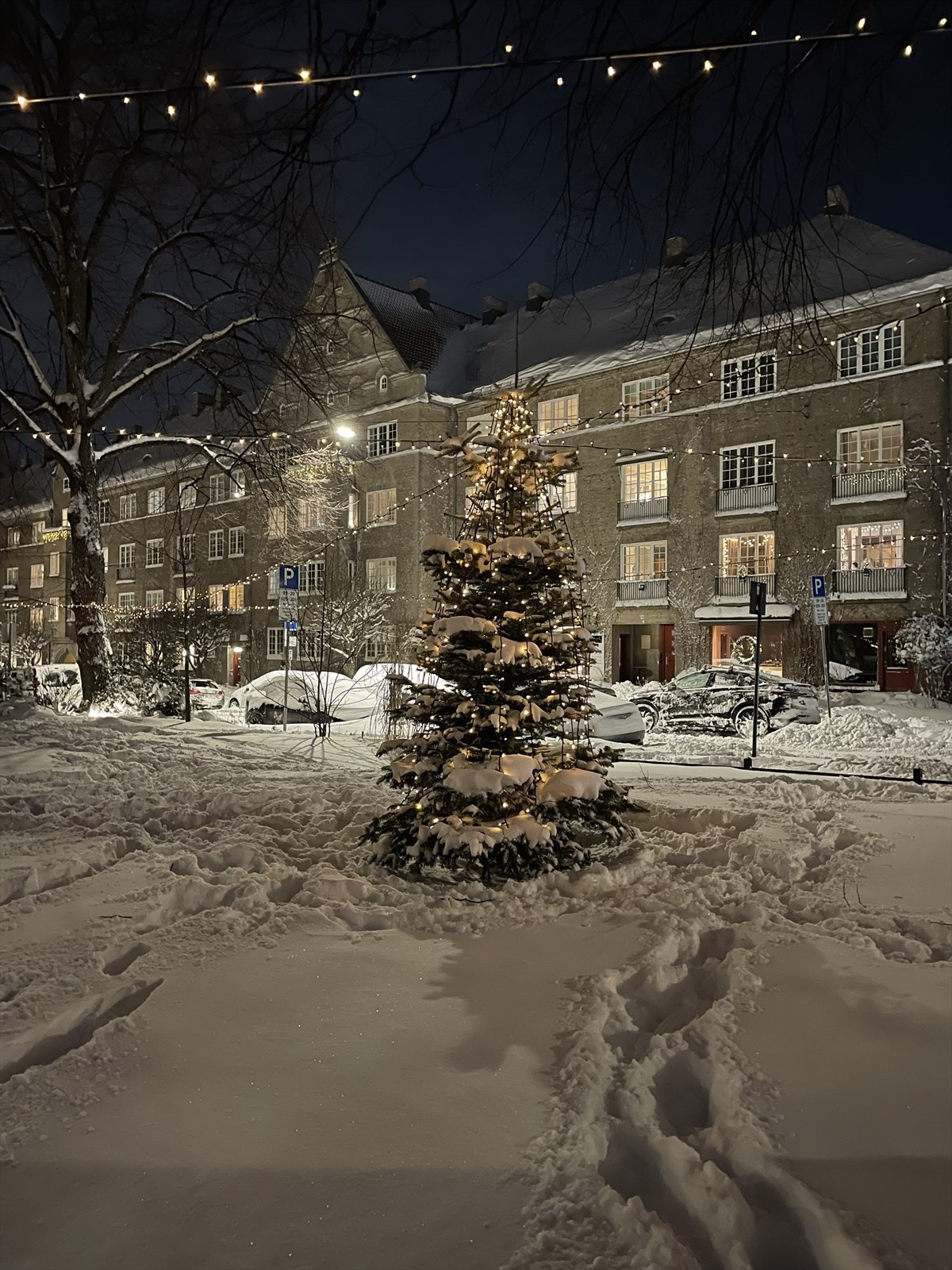 Julestemning på Jessenløkken. Galleribilde