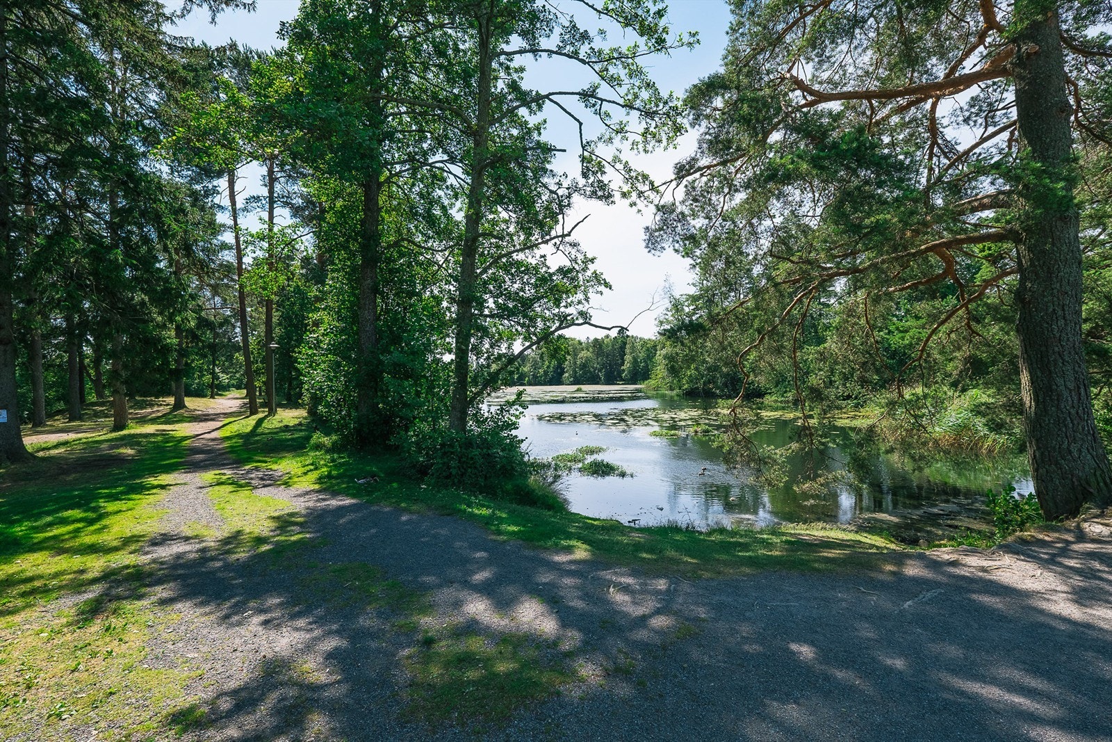 Bugårdsparken Galleribilde