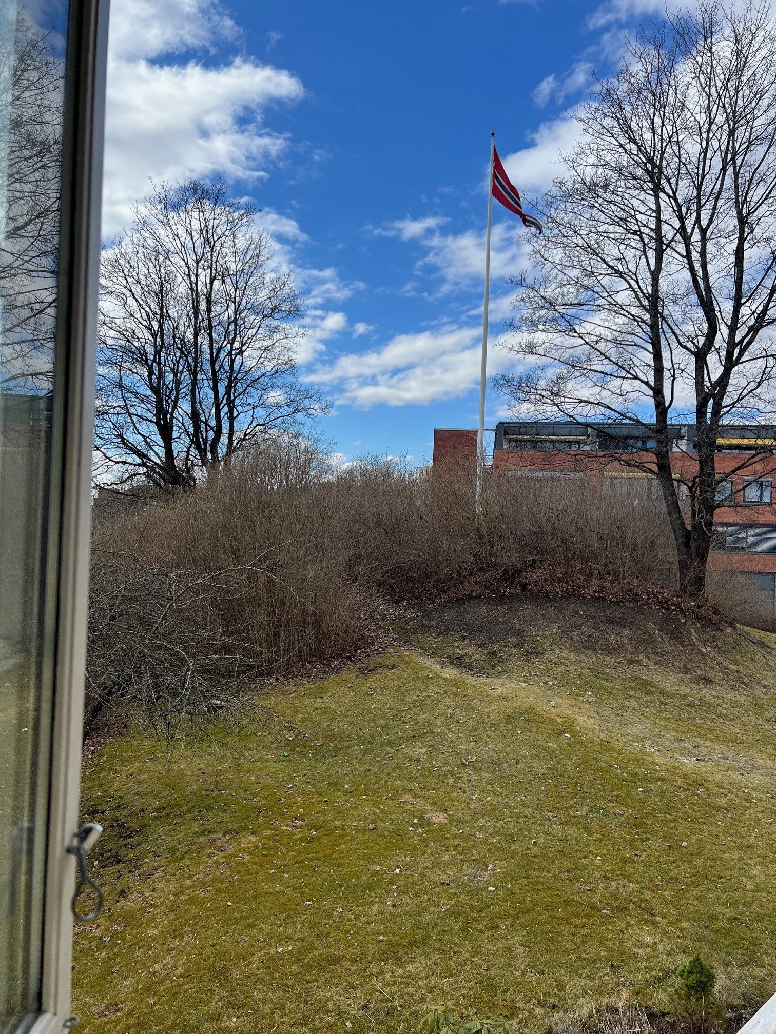 Utsikt til flott hage Galleribilde