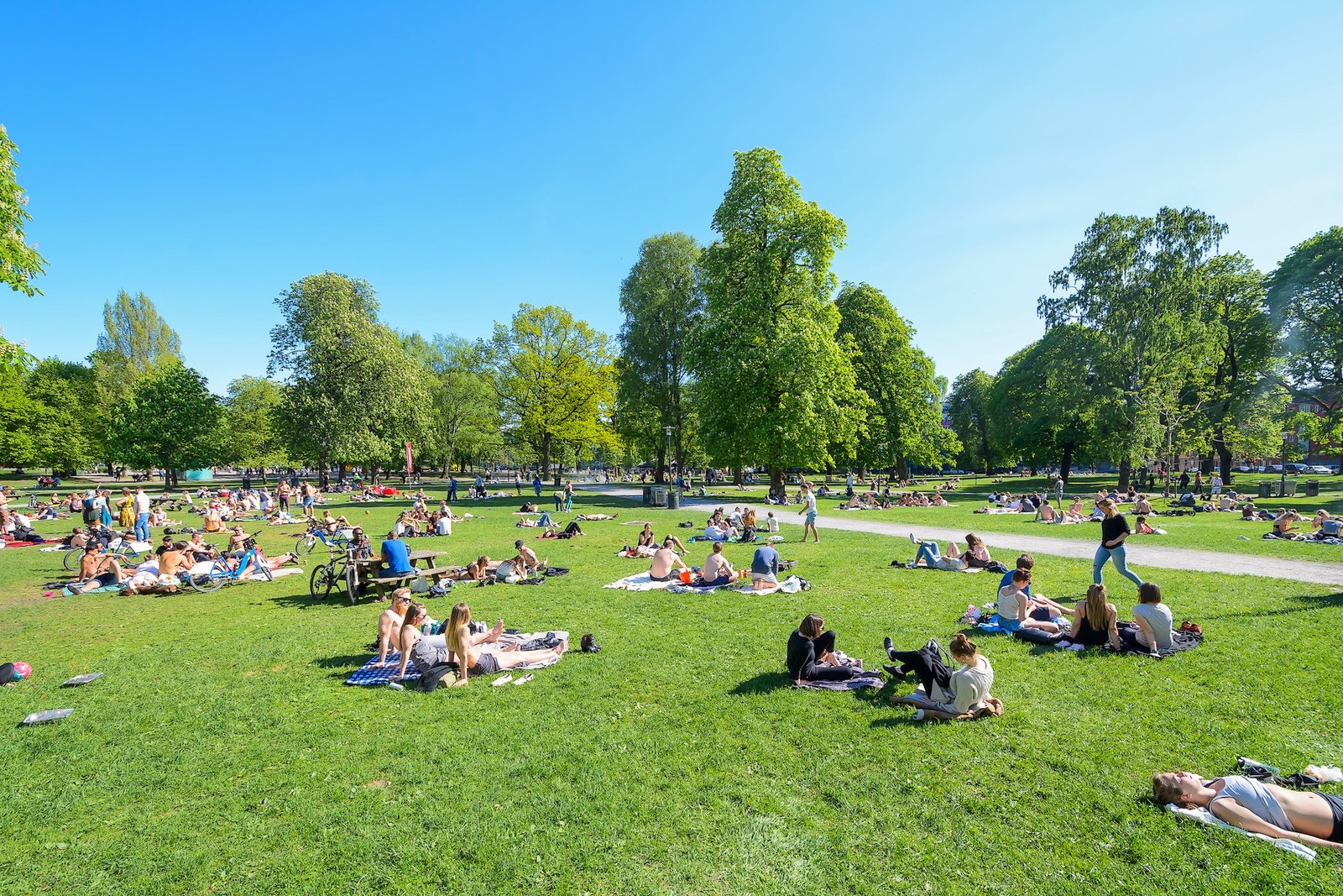 Flere rekreasjonsområder som Birkelunden,Sofienbergparken og Botanisk Hage ligger kun en liten gåtur unna. Galleribilde
