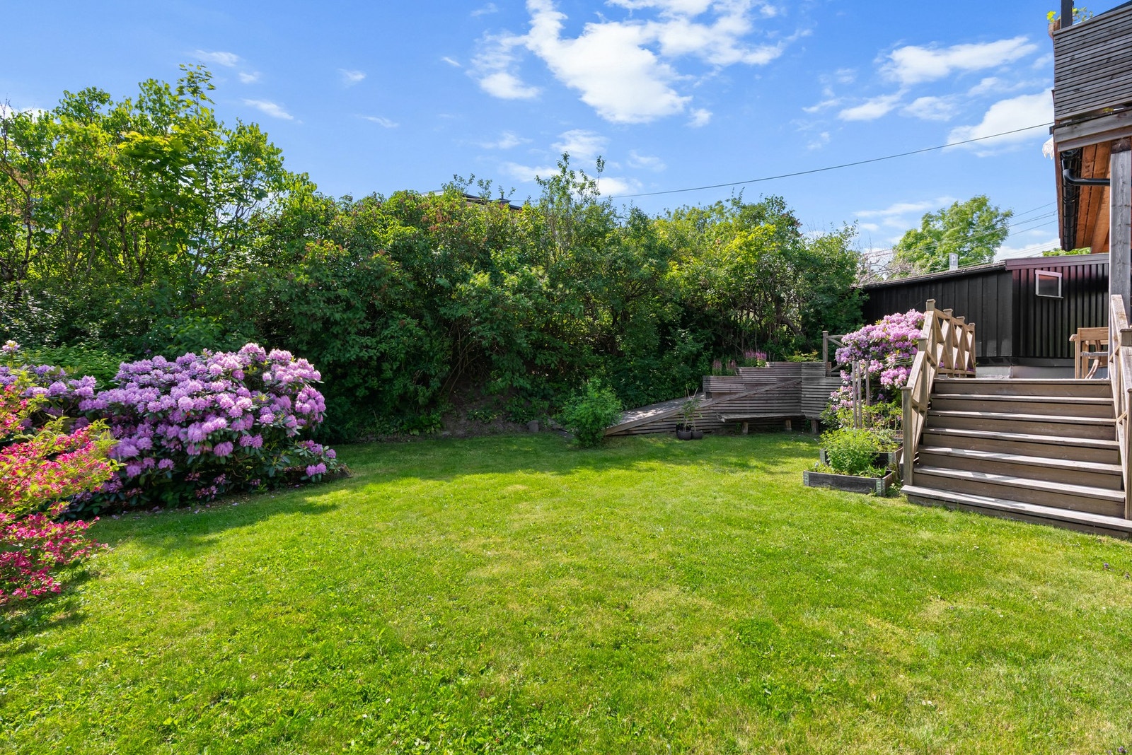 Her er det flotte blomster og vekster på sommerstid, og plantekasser for dyrking Galleribilde