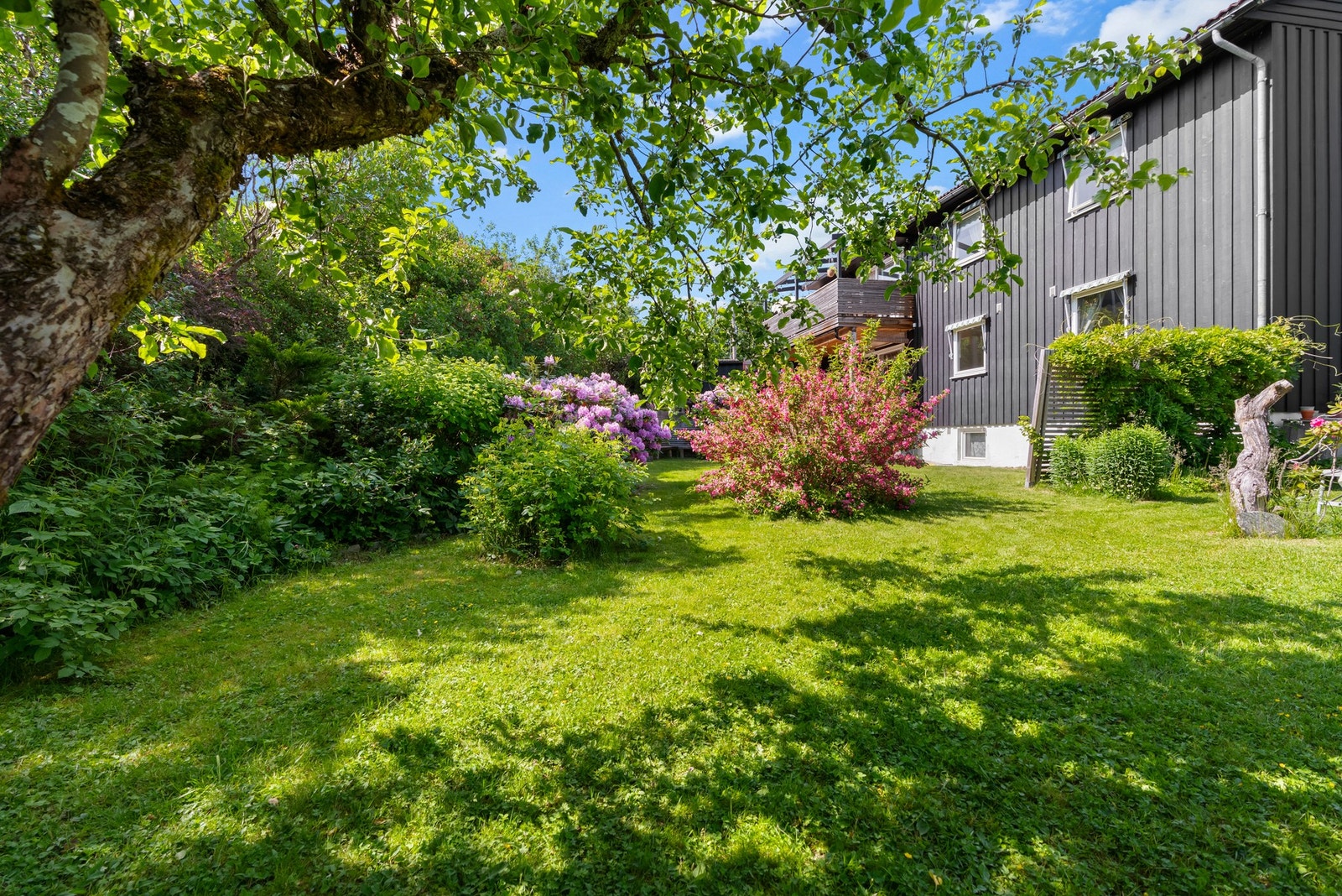 Det er alltid noe som blomstrer i hagen gjennom hele vår- og sommerhalvåret Galleribilde