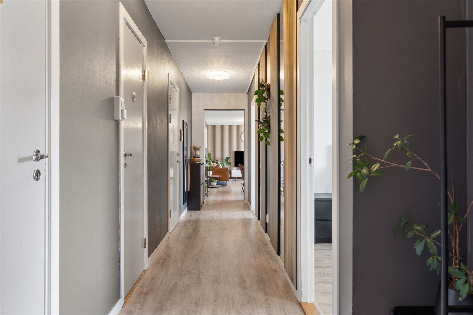 Romslig entrè. Galleribilde
