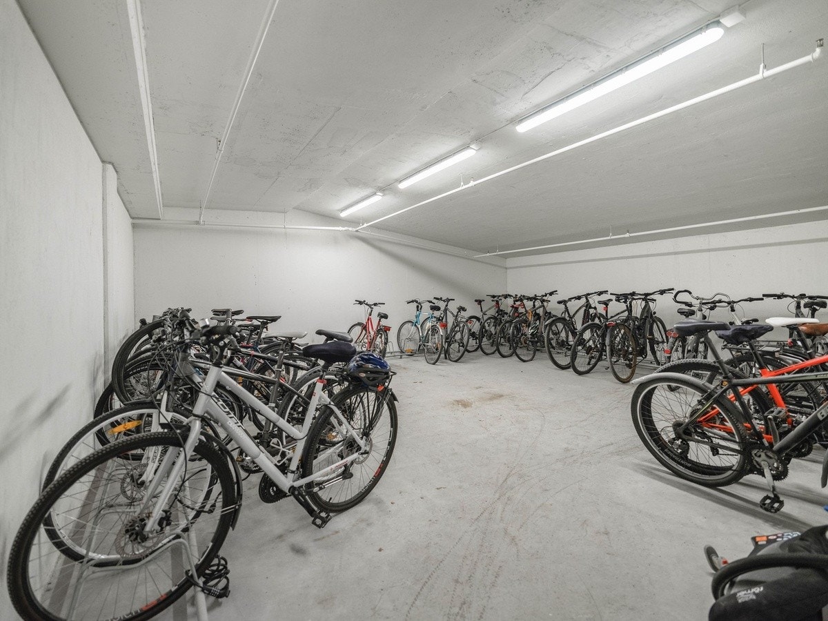 Sykkelparkering i kjeller Galleribilde