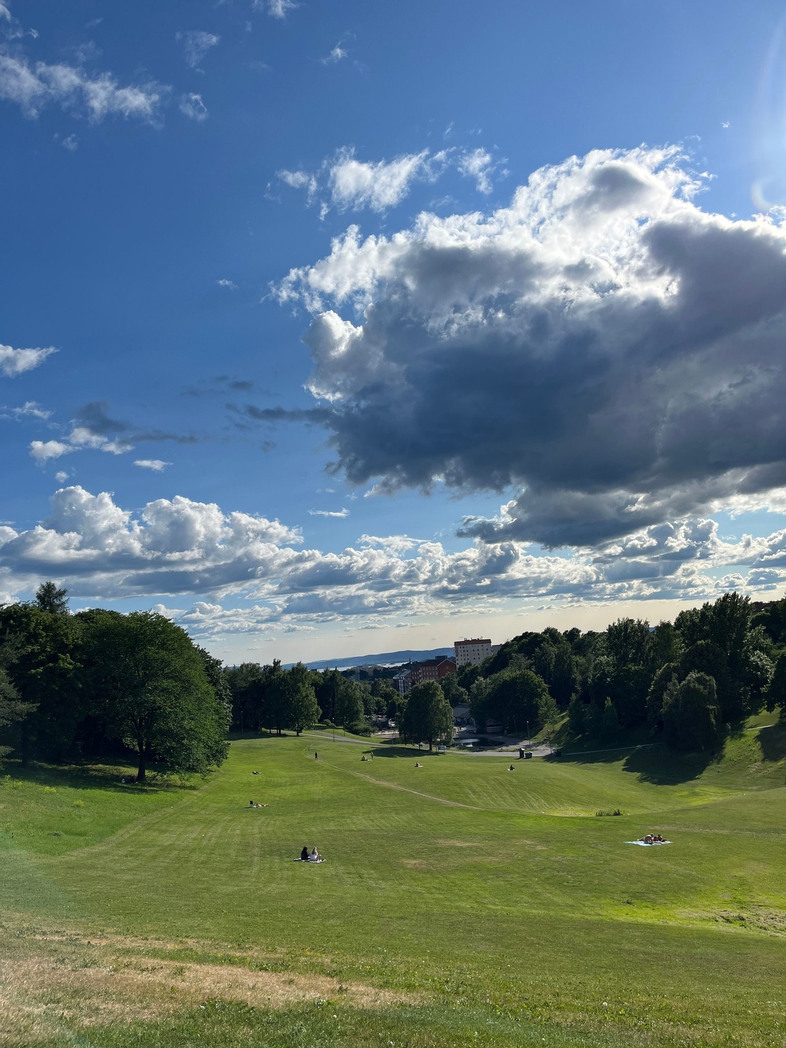 I gangavstand fra leiligheten ligger den sjarmerende Torshovdalen. Dalen forvandler seg til en frodig oase med vakre, grønne omgivelser om sommeren. Galleribilde