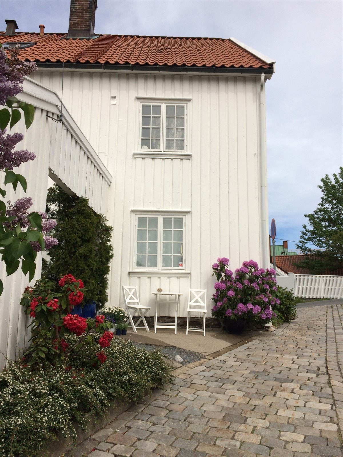 Sommerbilde Galleribilde