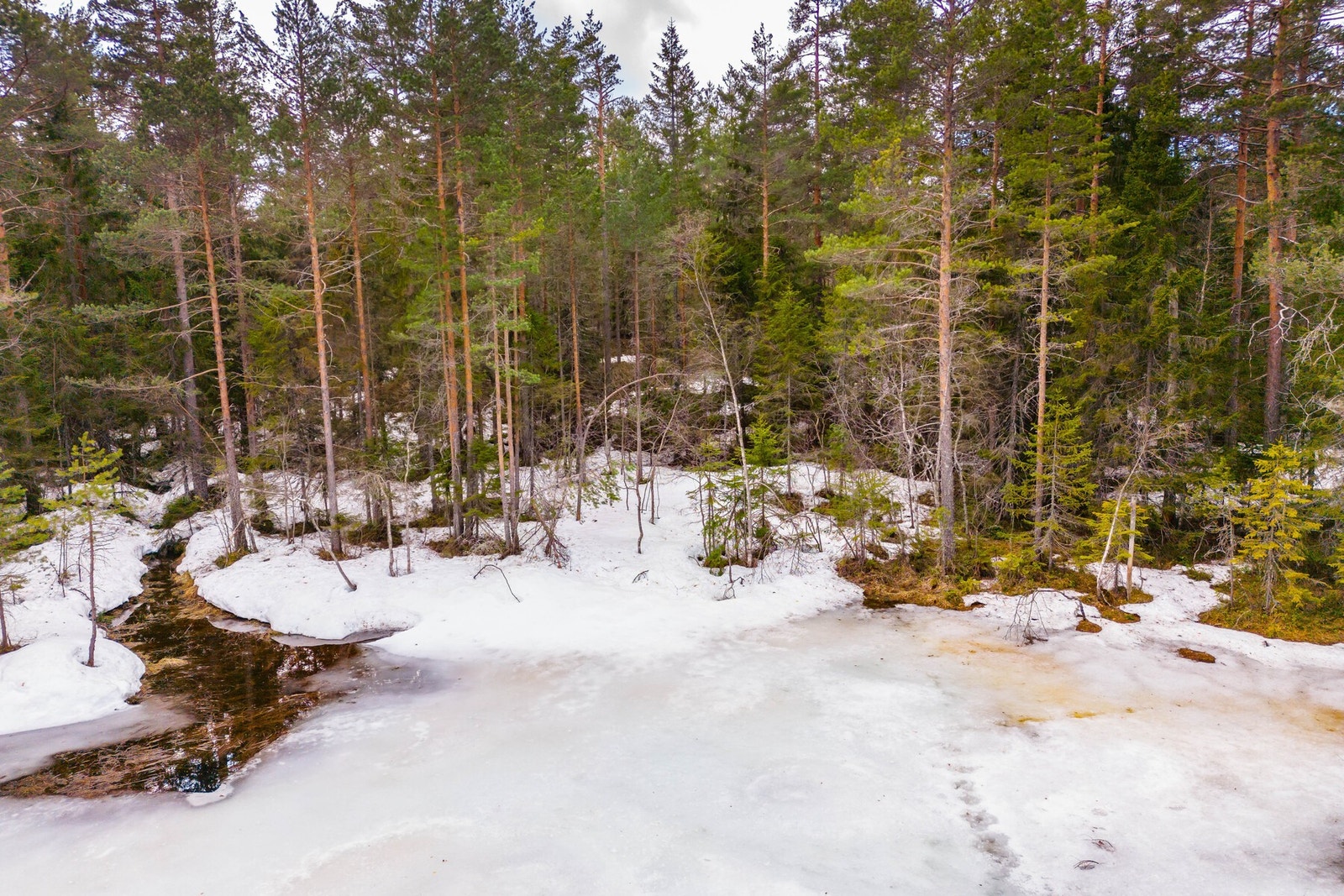 Naturtomten er ubebygd, lett tilgjengelig nær vei og består av naturlig vegetasjon. Galleribilde