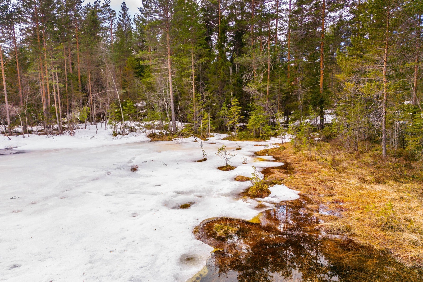 Hoensvannsveien 246 har en tomtestørrelse på 1004,4 kvm. Galleribilde