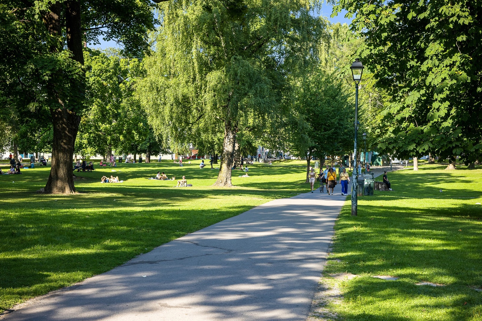 Sofienbergparken er en stor og frodig park kun et steinkast unna leiligheten. Her kan man grille og kose seg med venner på sommerstid! Galleribilde