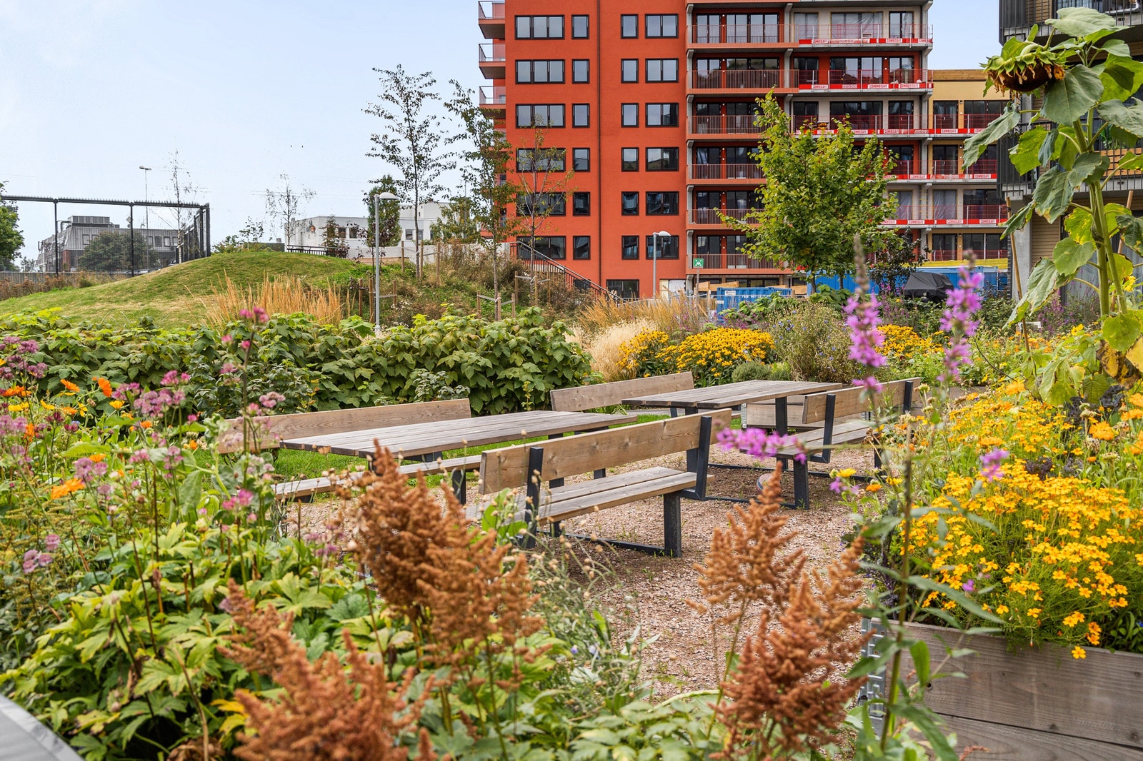 Uteområde med beplantning og sitteplasser Galleribilde