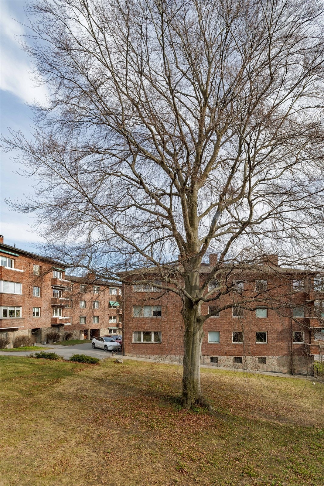 Grøntarealer og uteområder i tilknytning til boligbygget Galleribilde