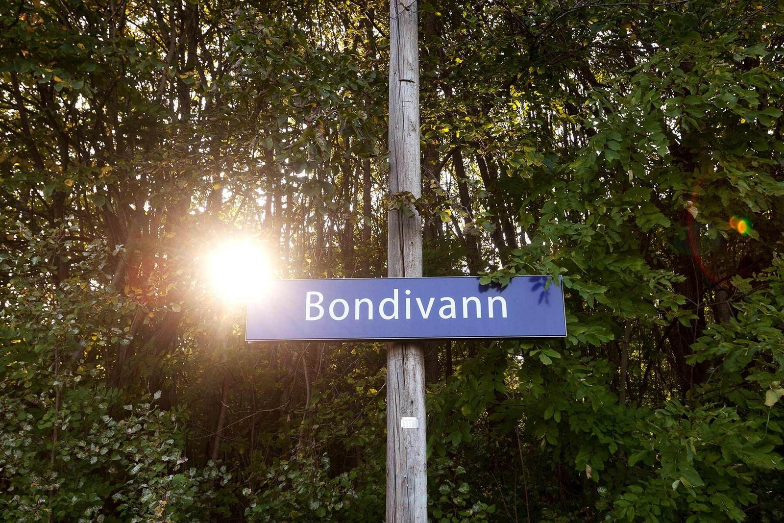 Det er kun noen minutter til Bondivann togstasjon som tar deg til Asker sentrum og videre mot byen. Galleribilde