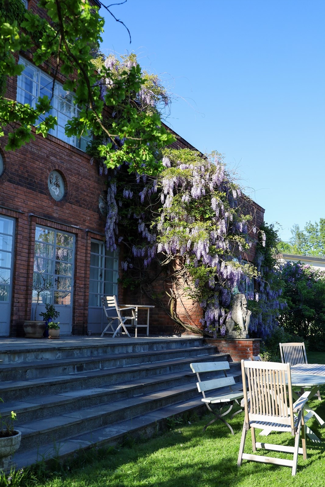 Sommerstid klatrer en praktfull blåregn (wisteria) oppover fasaden. Galleribilde