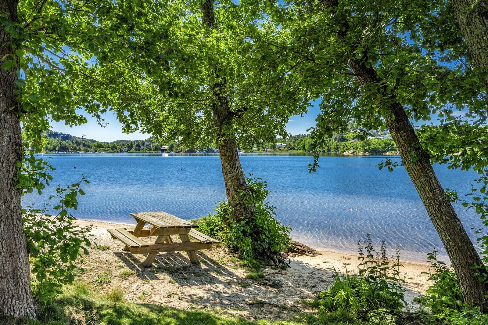 Badestrand og friområde rett på nedsiden av eiendommen Galleribilde