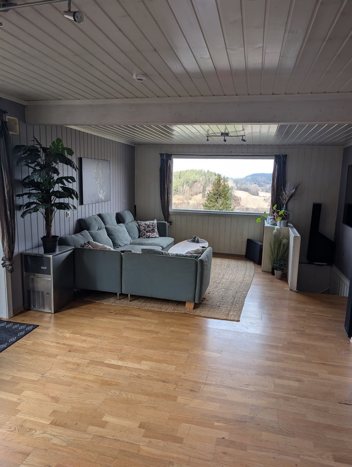Selgers private bilder. Galleribilde