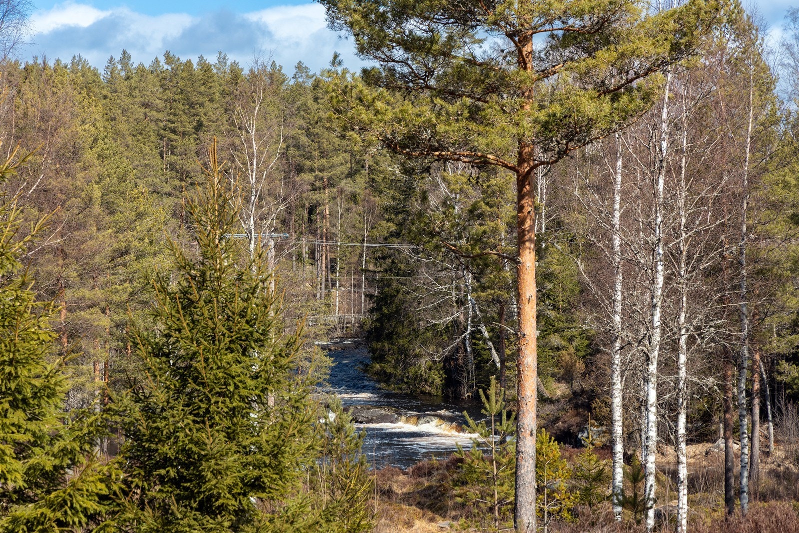 Abbor og annen innlandsfisk biter gjerne på kroken, bær og sopp venter på å bli plukket om høsten. Den som prøver fiskelykken i elva, kan være heldig å få en ørret på kroken. Her er mulighet for bading, båtliv og padling. Galleribilde