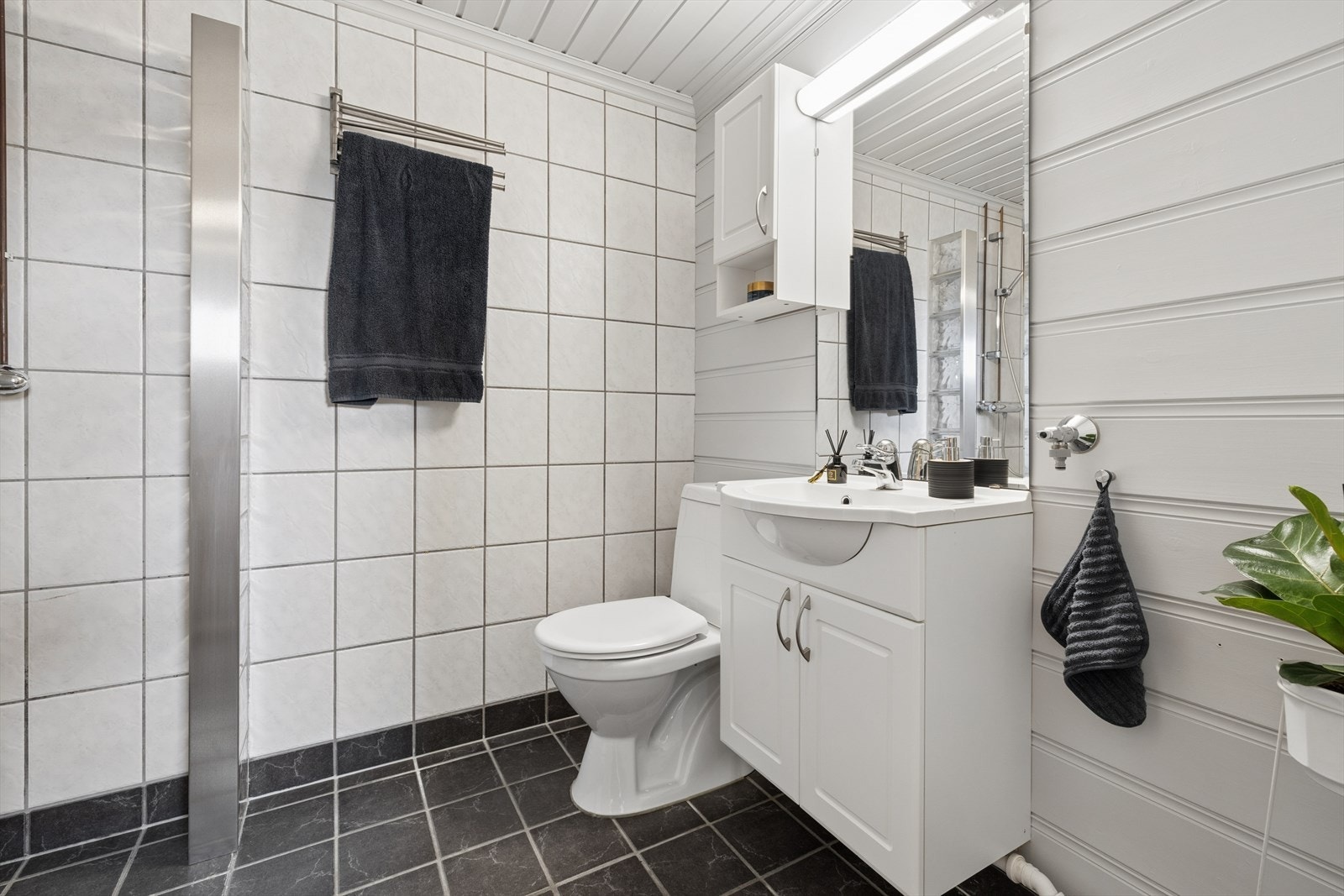 Det ene badet i underetasjen er utstyrt med dusjhjørne, toalett og servant. Galleribilde