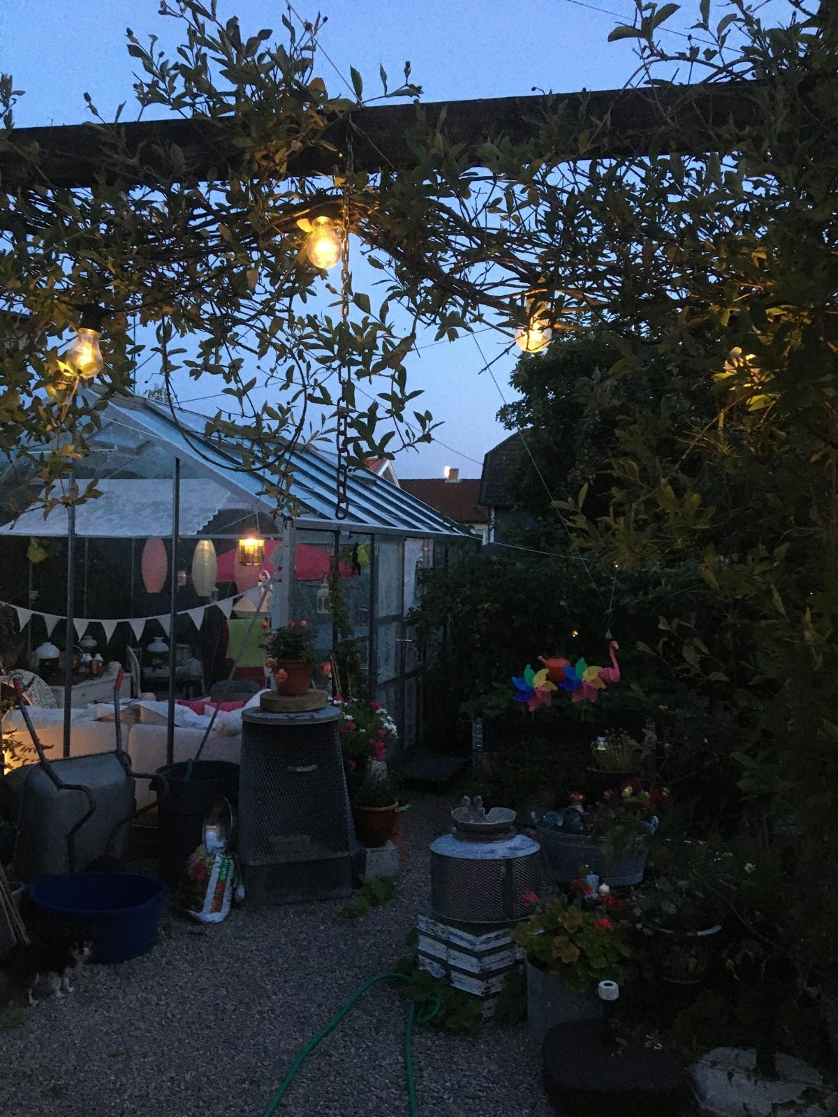 Selgers egne bilder fra hagen Galleribilde