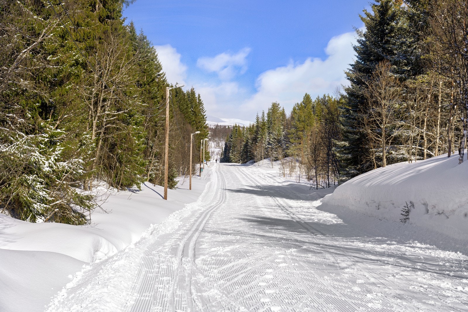Lysløypa starter ca 800m fra leiligheten. Fantastiske turmuligheter sommer som vinter.