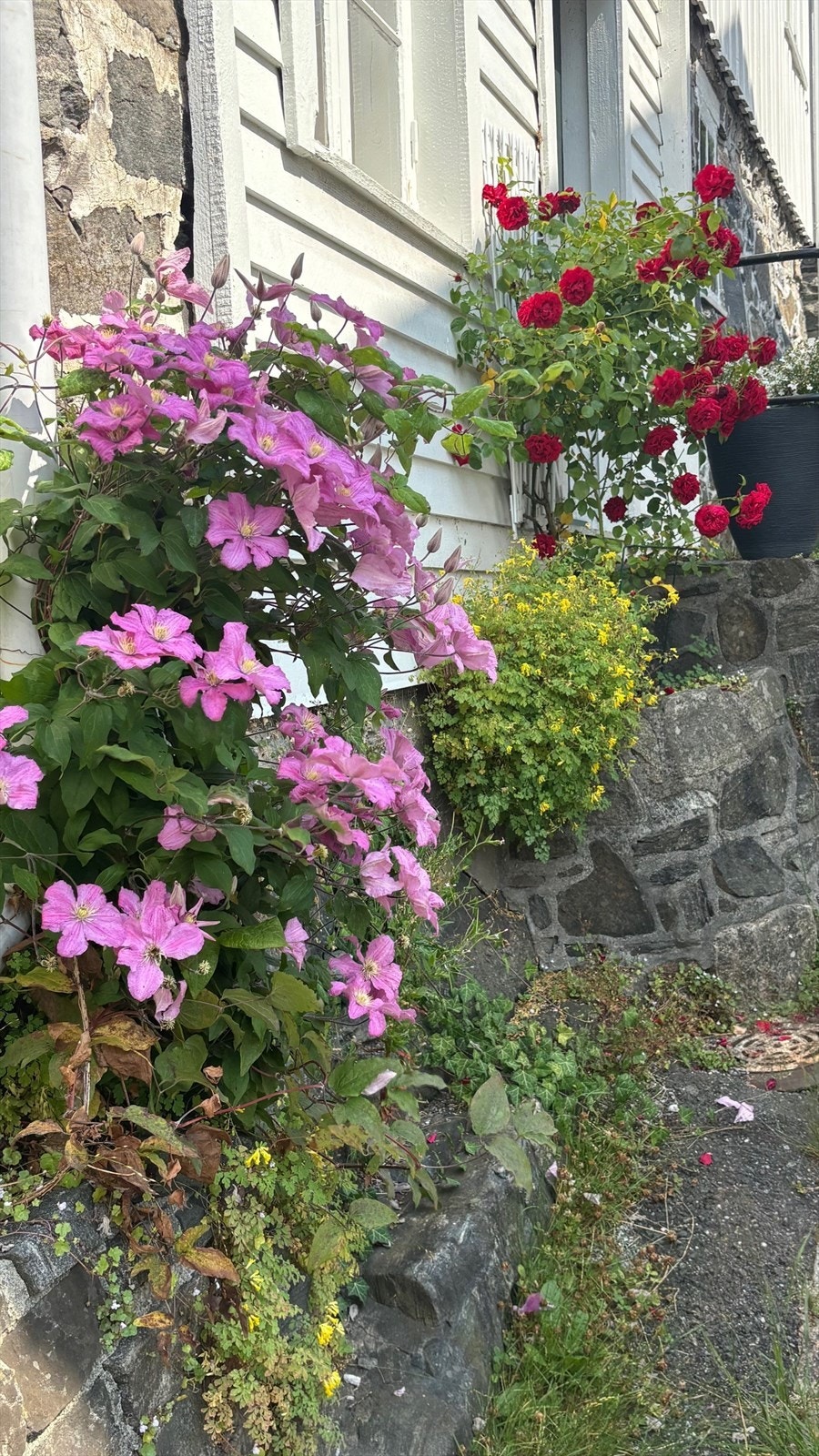 Sjarmerende detaljer som klatreplanter og natursteinsmur understreker den idylliske sørlandsfølelsen. Galleribilde